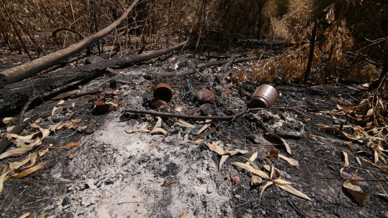 El monte sufre tala de árboles, quema de pastizales y se puede ver acumulación de basura. 