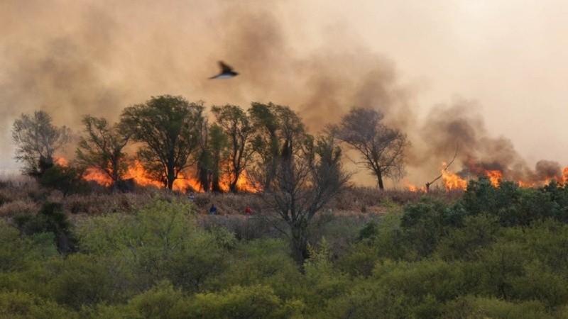 El fuego avanza pero a Entre Ríos no le preocupa.