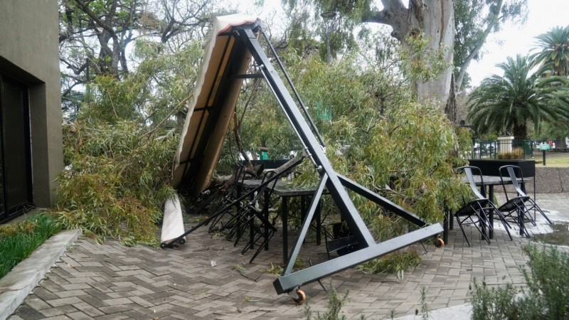 Una rama de gran porte cayó sobre las mesas del bar ubicado en el Parque Independencia.