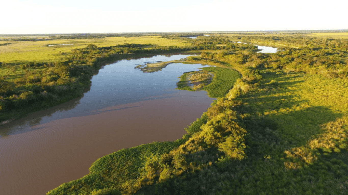 Santa Fe tiene su inventario de humedales: cuántos son, dónde están y para qué sirve el mapeo