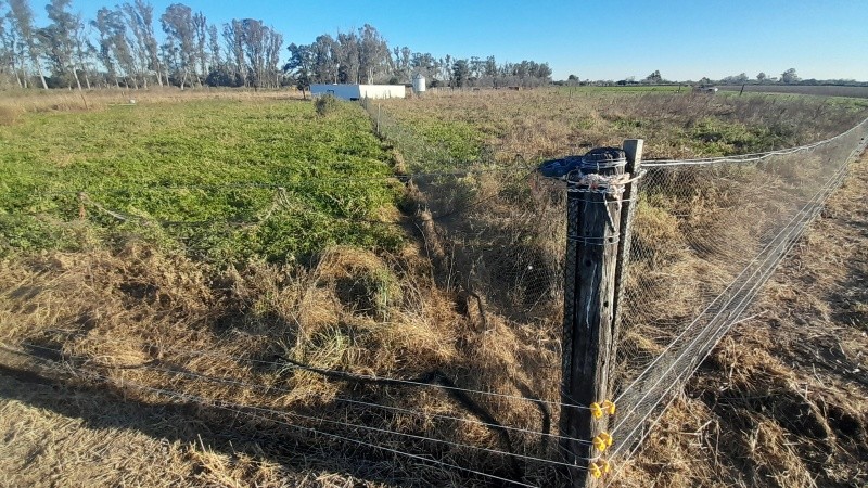 El proyecto Mundo Agradable desarrolló un gallinero octogonal y rotativo.