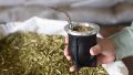 Yerba mate: histórica caída en el consumo interno y freno de las exportaciones